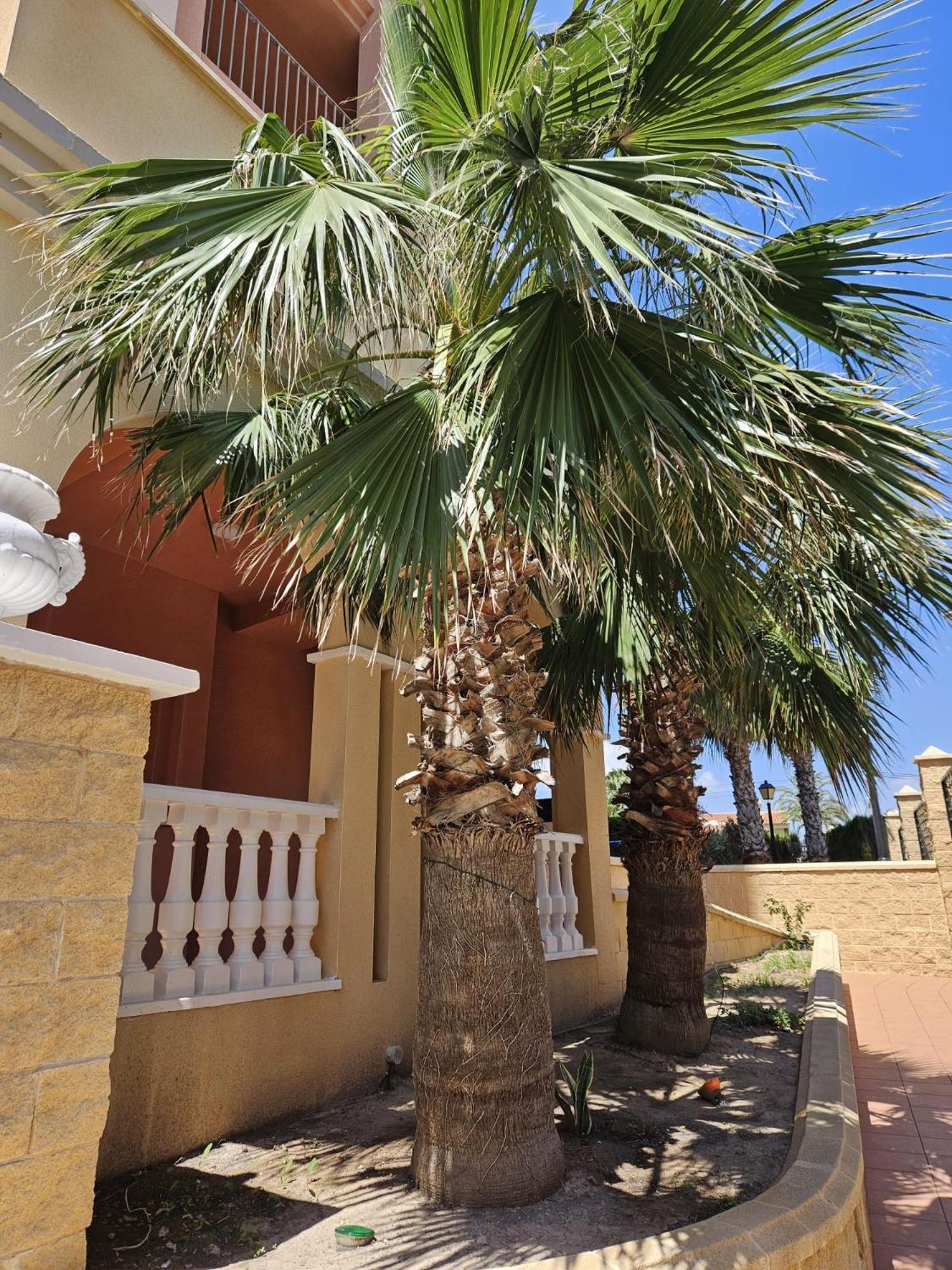 Apartament Atalayas Vista Torrevieja Zewnętrze zdjęcie